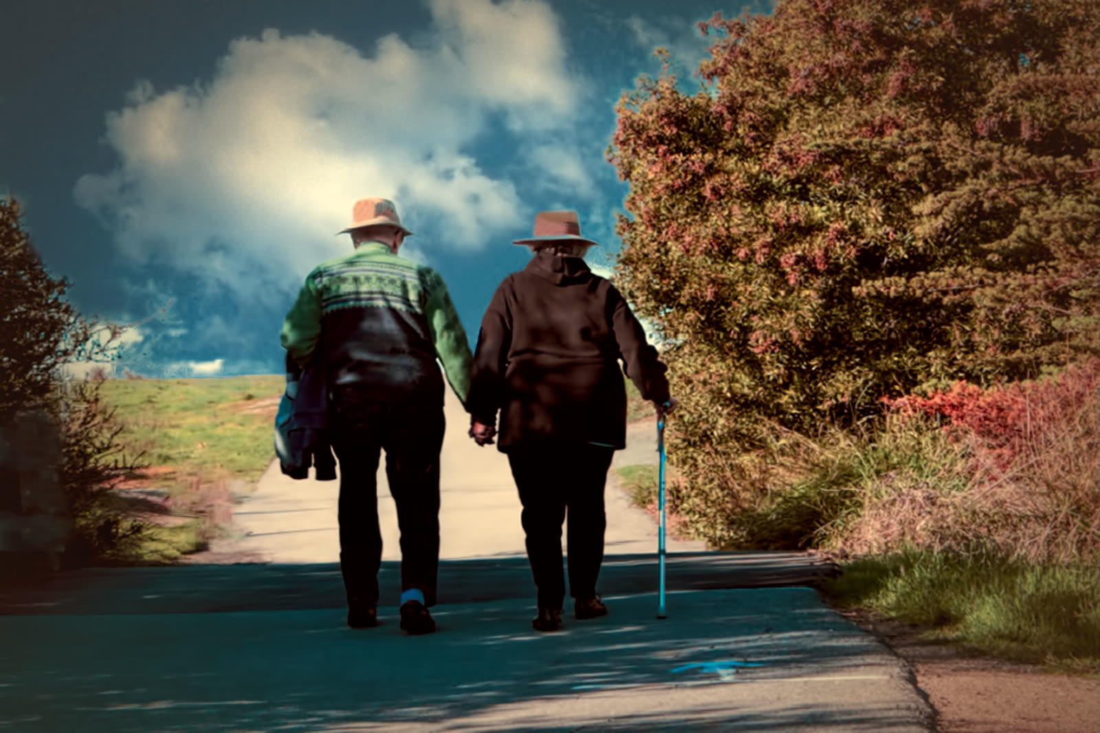 Couple walking (16267925833).jpg