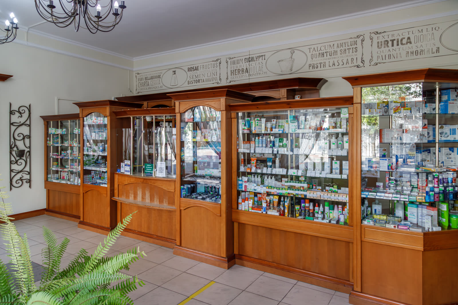 Brest Greenberg Pharmacy Interior 2024-09-20 3798.jpg
